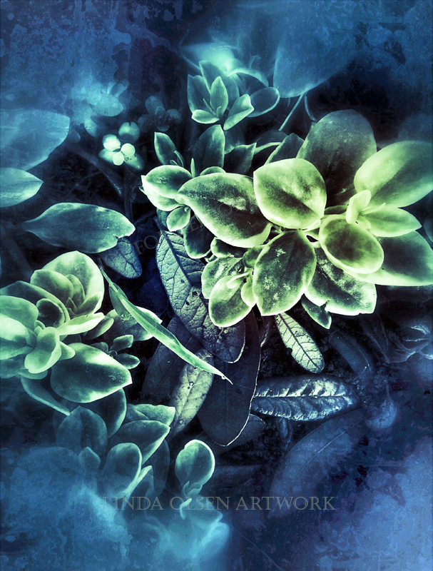Leaves and succulant2